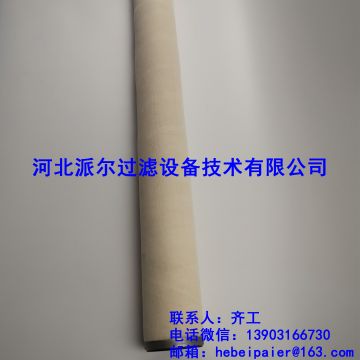 聚結(jié)濾芯